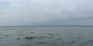 gangapur back water