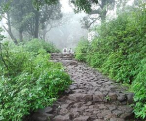 Brahmagiri Hill In Nashik