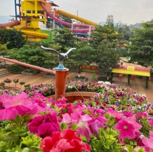 Flower Park | Best Park In Nashik