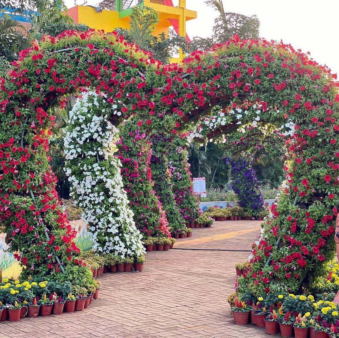 Flower Park | Best Park In Nashik